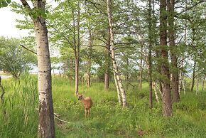 Pool & Beach Access: Charming Poconos Cabin!