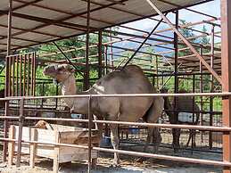 Waterfall Heaven House