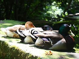 Waterfall Heaven House