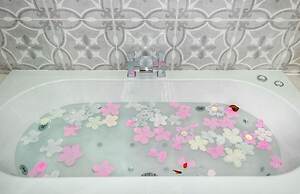 Blissful Bradford Apartment - City Center Gem