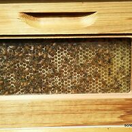 Giardino di Limoni Eco Friendly Villa