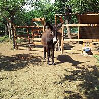 Giardino di Limoni Eco Friendly Villa