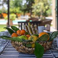 Giardino di Limoni Eco Friendly Villa