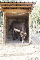 Casale Della Pergola With Cottage Sugarcane Pool