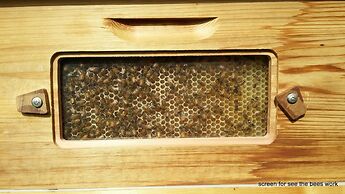 Casale Della Pergola With Cottage Sugarcane Pool