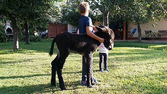 Casale Della Pergola With Cottage Sugarcane Pool