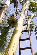 Casale Della Pergola With Cottage Sugarcane Pool