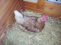 Casale Della Pergola With Cottage Sugarcane Pool
