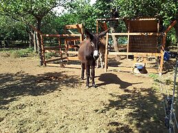 Casale Della Pergola With Cottage Sugarcane Pool