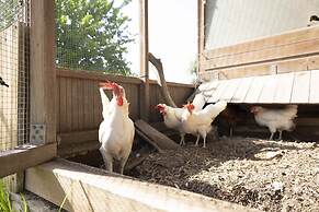 Casale Della Pergola With Cottage Sugarcane Pool