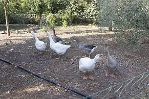 Casale Della Pergola With Cottage Sugarcane Pool