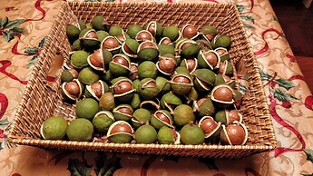 Casale Della Pergola With Cottage Sugarcane Pool
