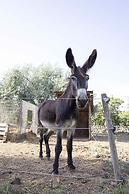 Casale Della Pergola Eco-friendly by the sea