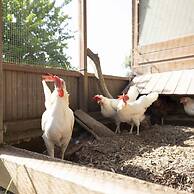 Casale Della Pergola Eco-friendly by the sea