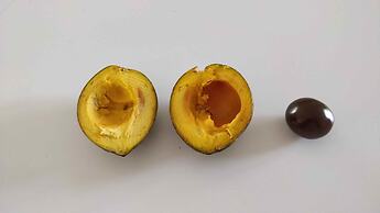 Casale Della Pergola Eco-friendly by the sea