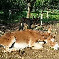 Casale Della Pergola Eco-friendly by the sea