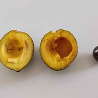 Casale Della Pergola Eco-friendly by the sea