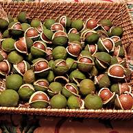 Casale Della Pergola Eco-friendly by the sea