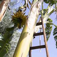 Casale Della Pergola Eco-friendly by the sea