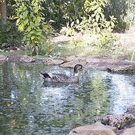 Casale Della Pergola Eco-friendly by the sea