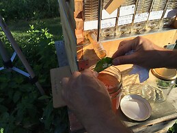 Casale Della Pergola Eco-friendly by the sea