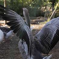 Casale Della Pergola Eco-friendly by the sea