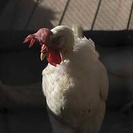 Casale Della Pergola Eco-friendly by the sea