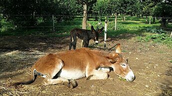 Casale Della Pergola Eco-friendly by the sea