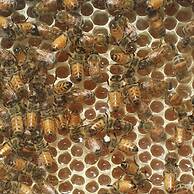 Casale Della Pergola Eco-friendly by the sea