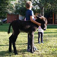 Casale Della Pergola Eco-friendly by the sea