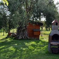 Casale Della Pergola Eco-friendly by the sea