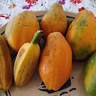 Casale Della Pergola Eco-friendly by the sea