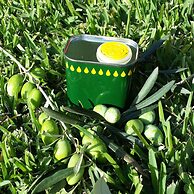 Casale Della Pergola Eco-friendly by the sea