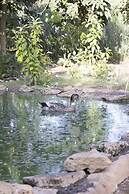 Casale Della Pergola Eco-friendly by the sea