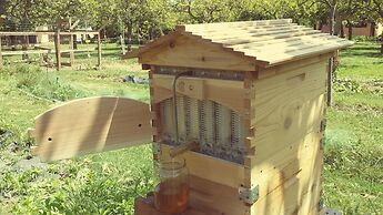 Casale Della Pergola Eco-friendly by the sea