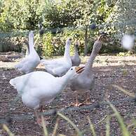 Casale Della Pergola Eco-friendly by the sea