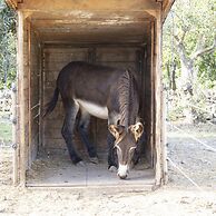 Casale Della Pergola Eco-friendly by the sea