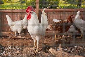 Casale Della Pergola Eco-friendly by the sea