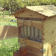 Casale Della Pergola Eco-friendly by the sea