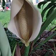 Casale Della Pergola Eco-friendly by the sea