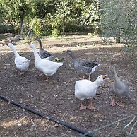 Casale Della Pergola Eco-friendly by the sea