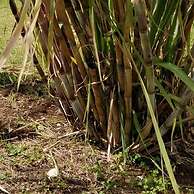 Casale Della Pergola Eco-friendly by the sea