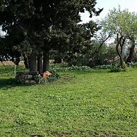 Giardino Tropicale Eco-friendly Accommodations