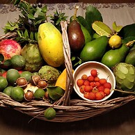 Giardino Tropicale Eco-friendly Accommodations