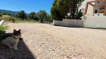 Casa Terra is Near Hillside Area Airport Beach