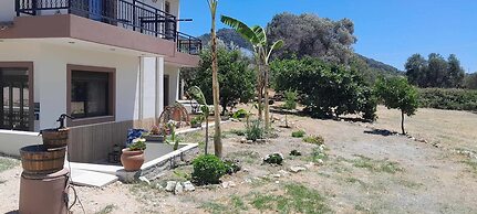 Casa Terra is Near Hillside Area Airport Beach