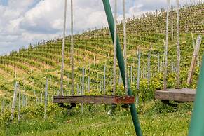 Panorama Villa Nestled Among the Vineyards Langhe