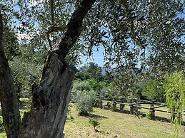 Casale Rustico con Piscina Privata e Ampio Parco