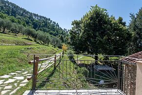 Podere il Giardino Lucca - With Private Pool
