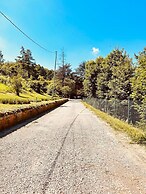 Suite Persichetto by Bologna Iconic Hillside